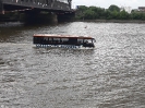 25.07.2020 rettet die Dove Elbe_20