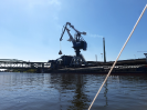 Elbe 19.06.2021_5
