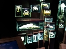 Stralsund Ozeaneum_4