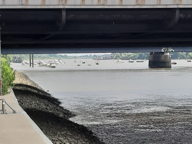 25.07.2020 rettet die Dove Elbe_1