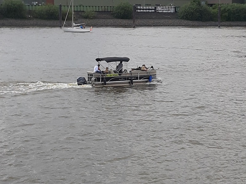 25.07.2020 rettet die Dove Elbe_3