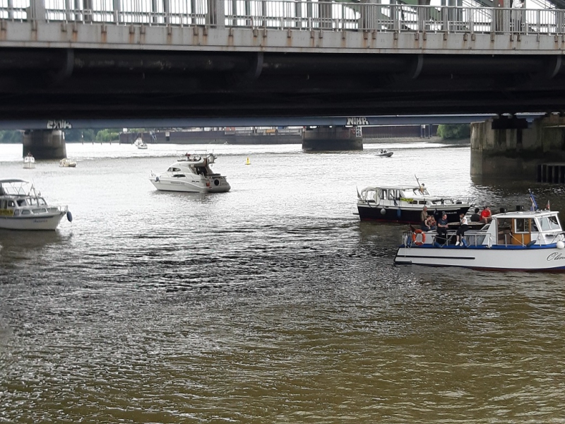 25.07.2020 rettet die Dove Elbe_19