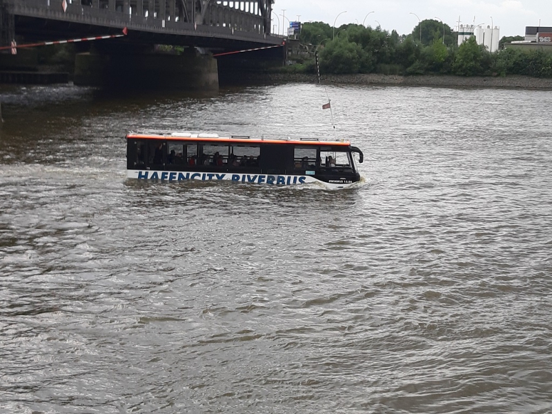 25.07.2020 rettet die Dove Elbe_20