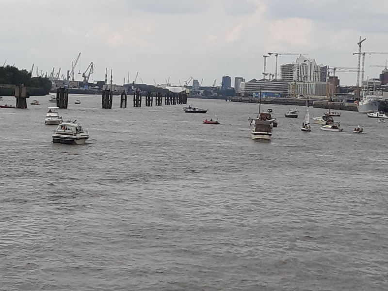 25.07.2020 rettet die Dove Elbe_24