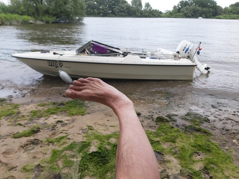 Elbe Tour 01.08.2020_20