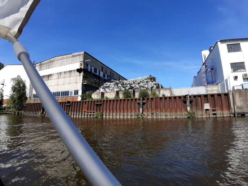 Elbe 19.06.2021_1