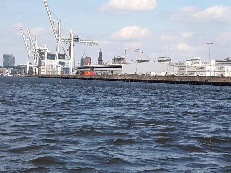 Elbe 19.06.2021_9