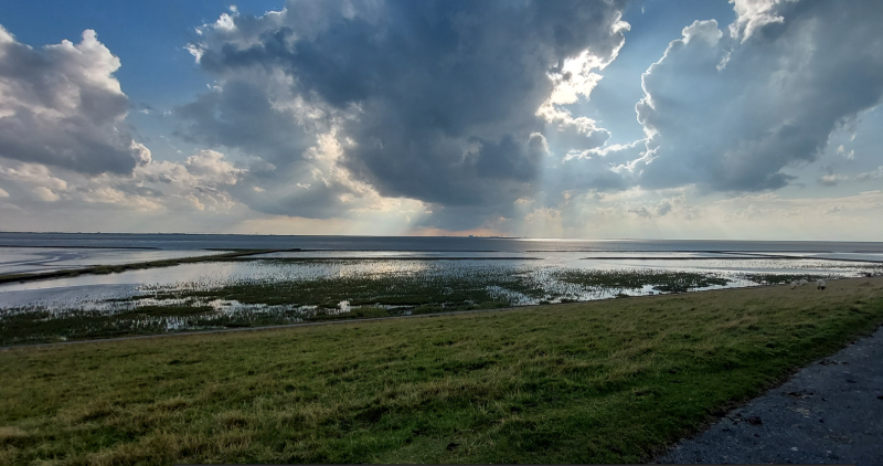Holland-Nordsee_25