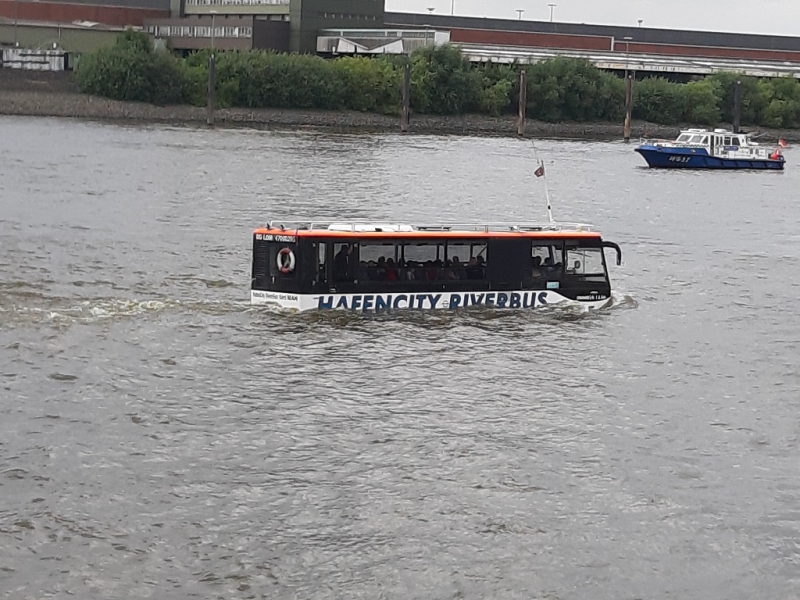 25.07.2020 rettet die Dove Elbe_21