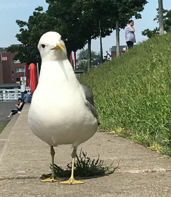 MA1_1