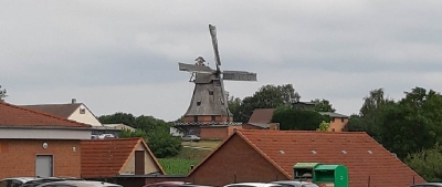 Malchow2019_6