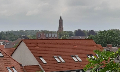 Malchow2019_7