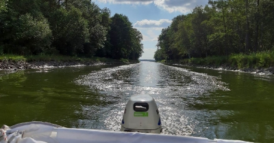 Malchow 2019 _7