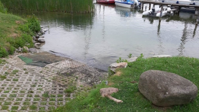 Schwerin_Slipper_2