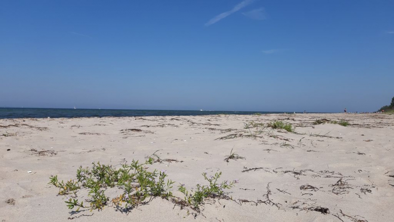 Ostsee Tour 24.08.2019_1
